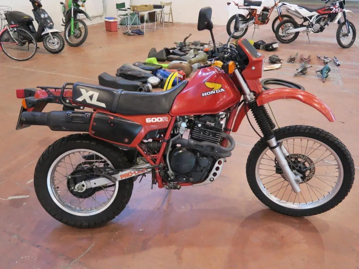 Mostra scambio di Montichiari, la fotogallery (47)