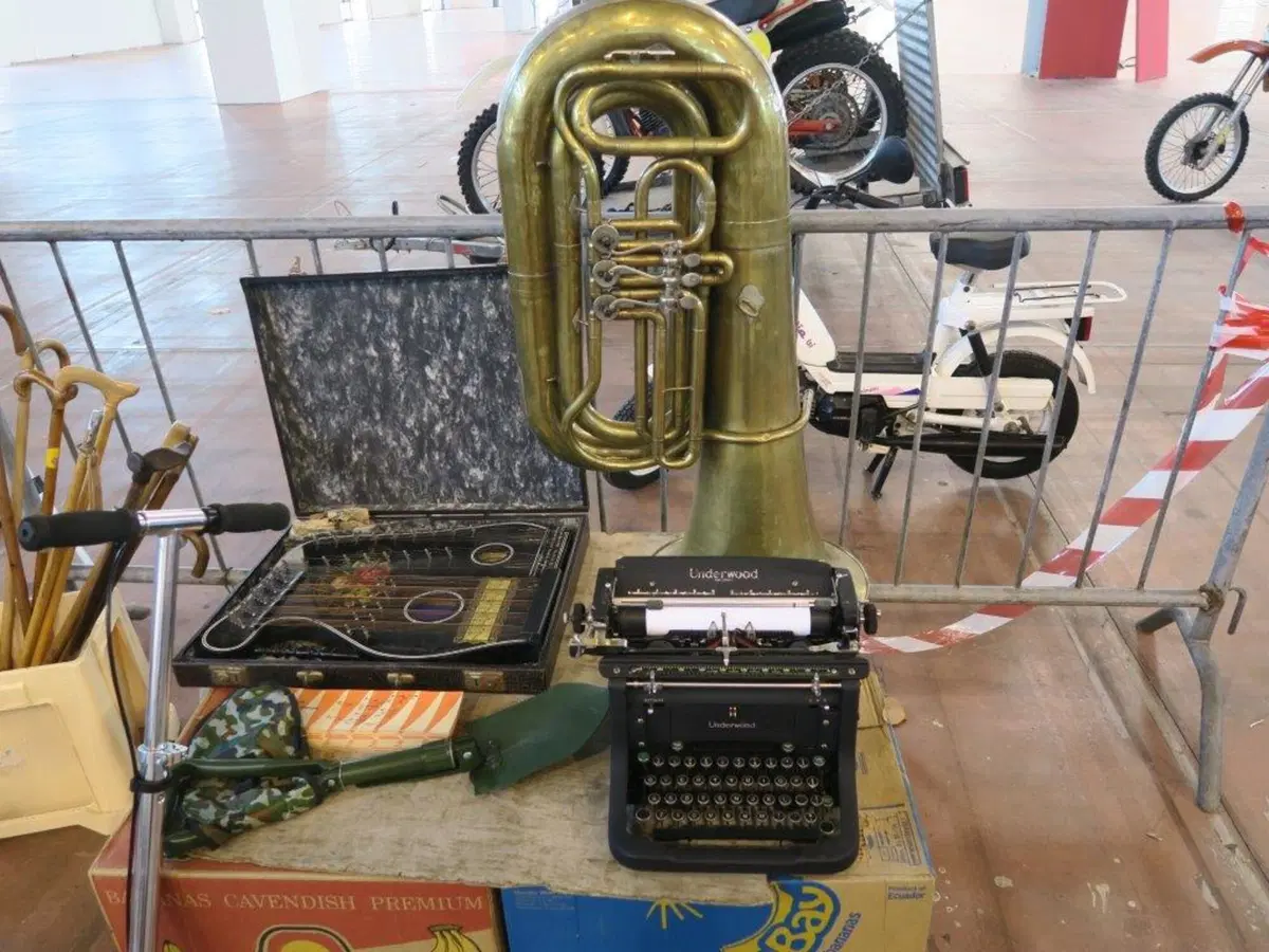 Mostra scambio di Montichiari, la fotogallery (41)