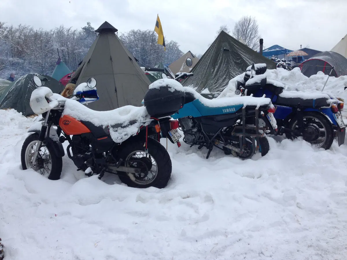 Elefantentreffen 2015: la gallery del raduno degli elefanti (11)