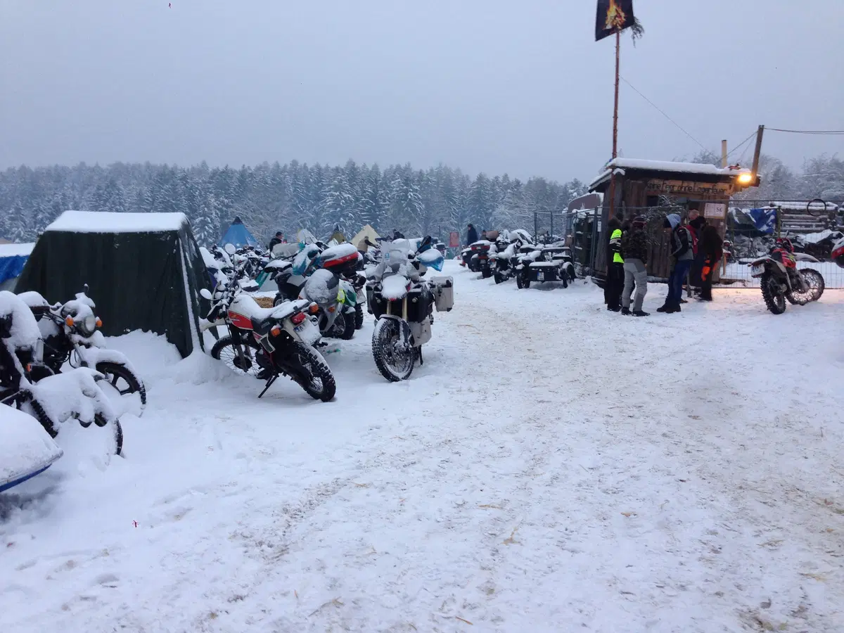 Elefantentreffen 2015: la gallery del raduno degli elefanti (12)