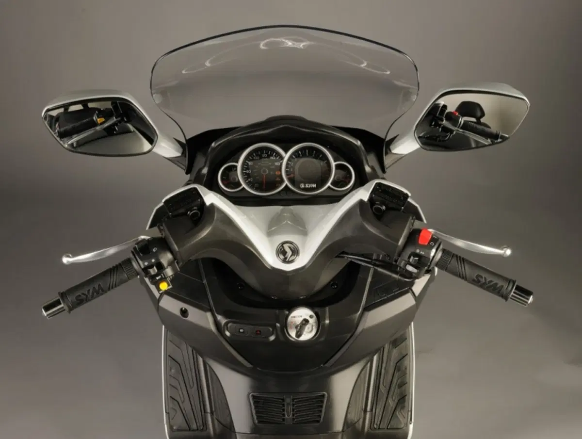 Sym Joymax 300 Joymax 300 i (2012 - 16) (10)