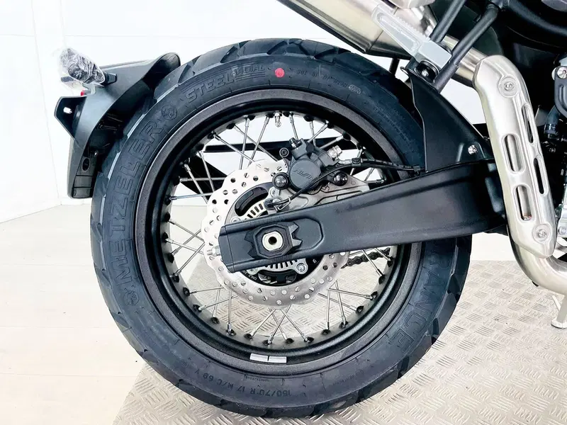Voge Trofeo 525ACX Scrambler (2023 - 26) (8)