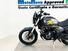 Voge Trofeo 525ACX Scrambler (2023 - 24) (14)