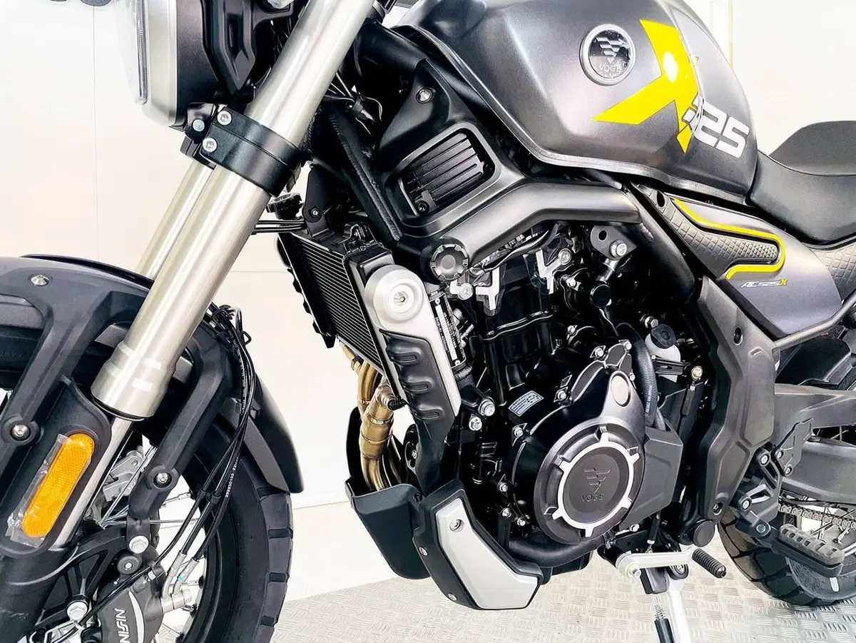 Voge Trofeo 525ACX Scrambler (2023 - 26) (15)