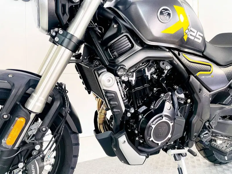 Voge Trofeo 525ACX Scrambler (2023 - 26) (15)