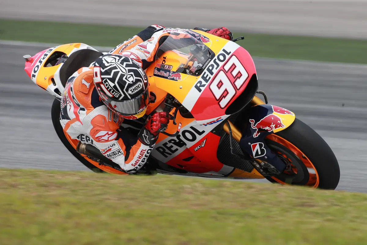 Test Sepang, day 3. Marquez: “C’è ampio margine di miglioramento” (7)
