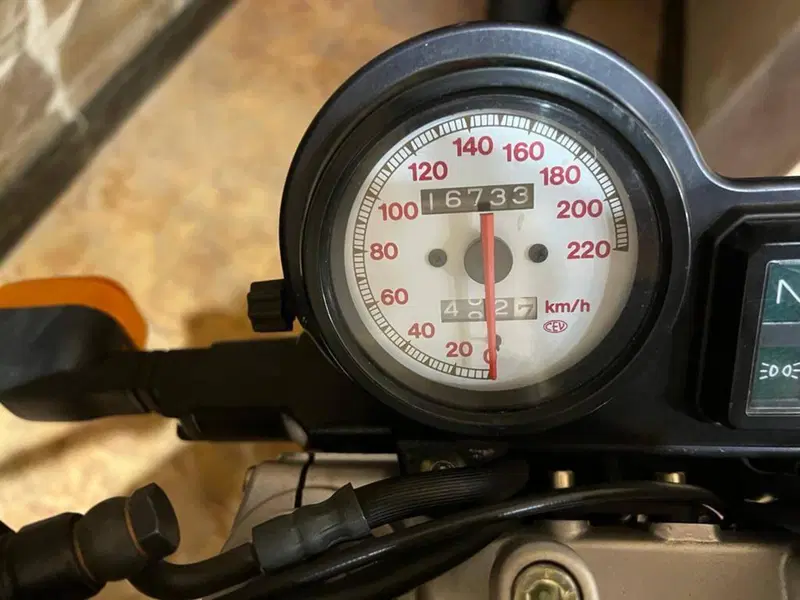 Ducati Monster 900 (1993 - 96) (6)