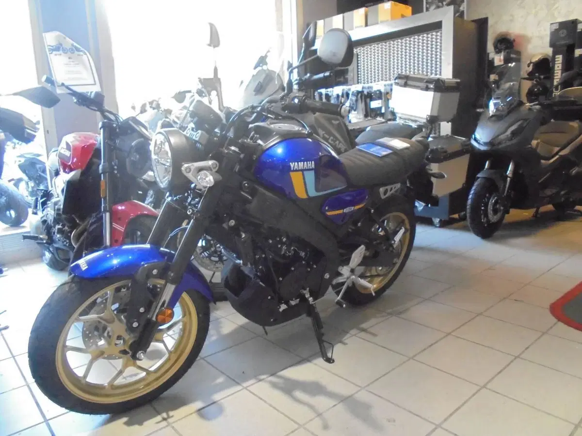 Yamaha XSR 125 (2021 - 24) (3)