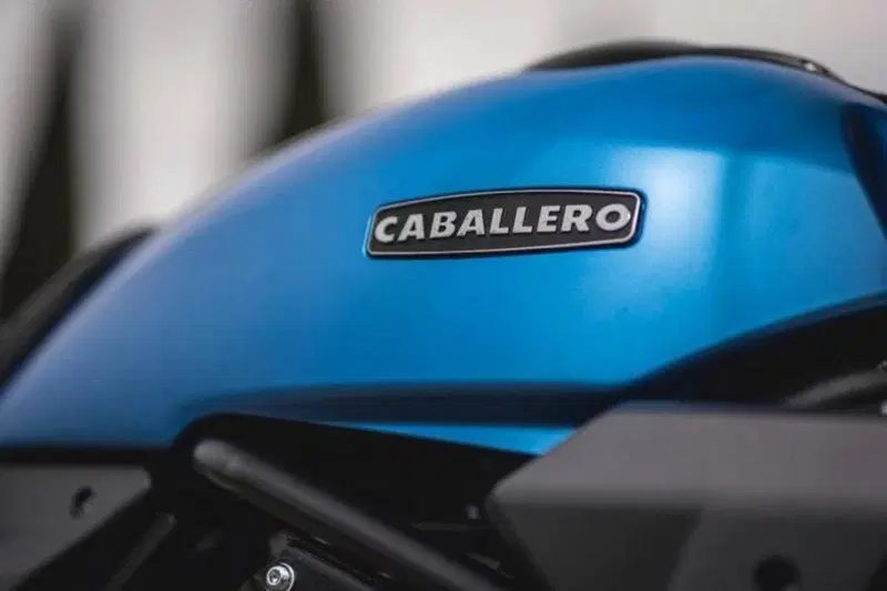 Fantic Motor Caballero 700 Scrambler (2025 - 26) (15)