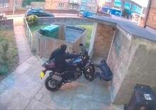 Ecco quanto tempo impiegano due ladri a rubare una moto [VIDEO]