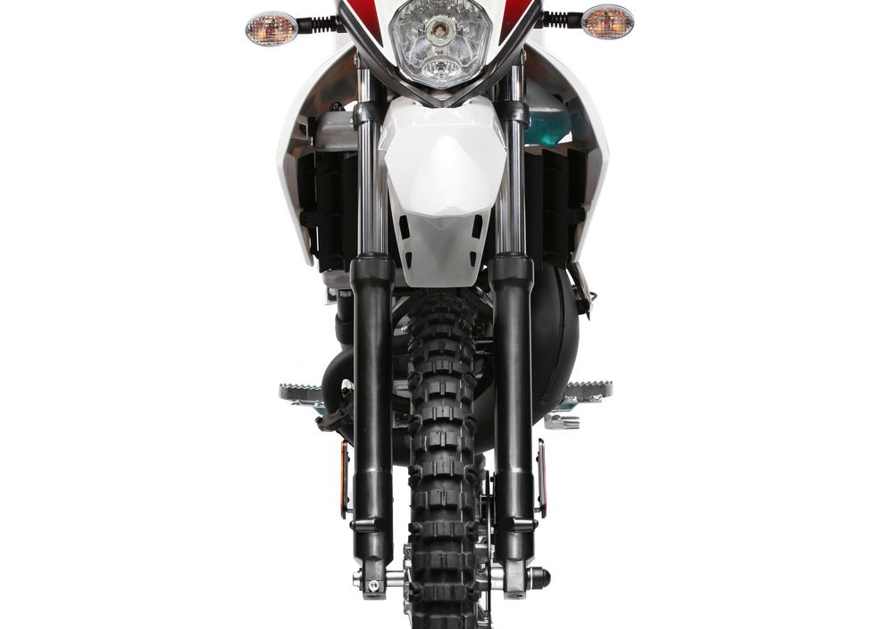 Derbi Senda 50 X-Treme SM (2008 - 17) (5)