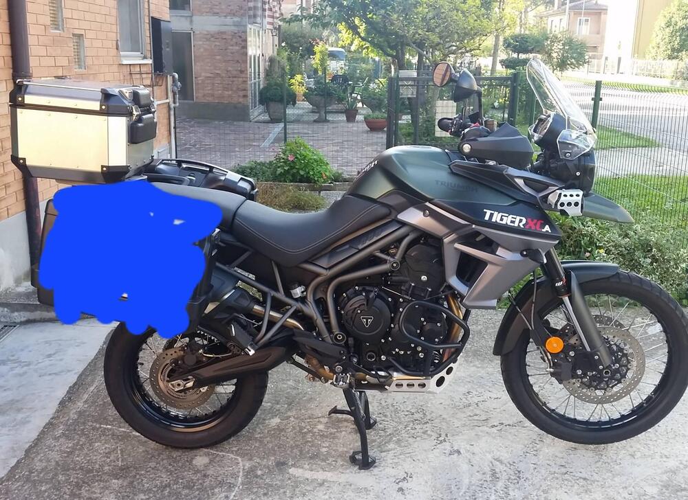 Triumph Tiger 800 XCa (2015 - 17) (2)