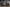 &quot;Tokyo connection&quot; una custom che unisce