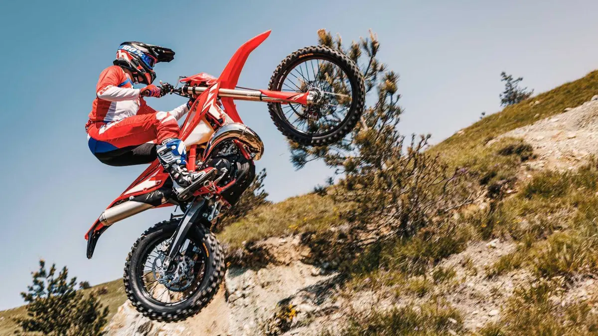 Betamotor RR 250 2T RR 250 2T Enduro (2024) (5)