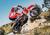 Betamotor RR 350 4T Enduro (2024) (6)