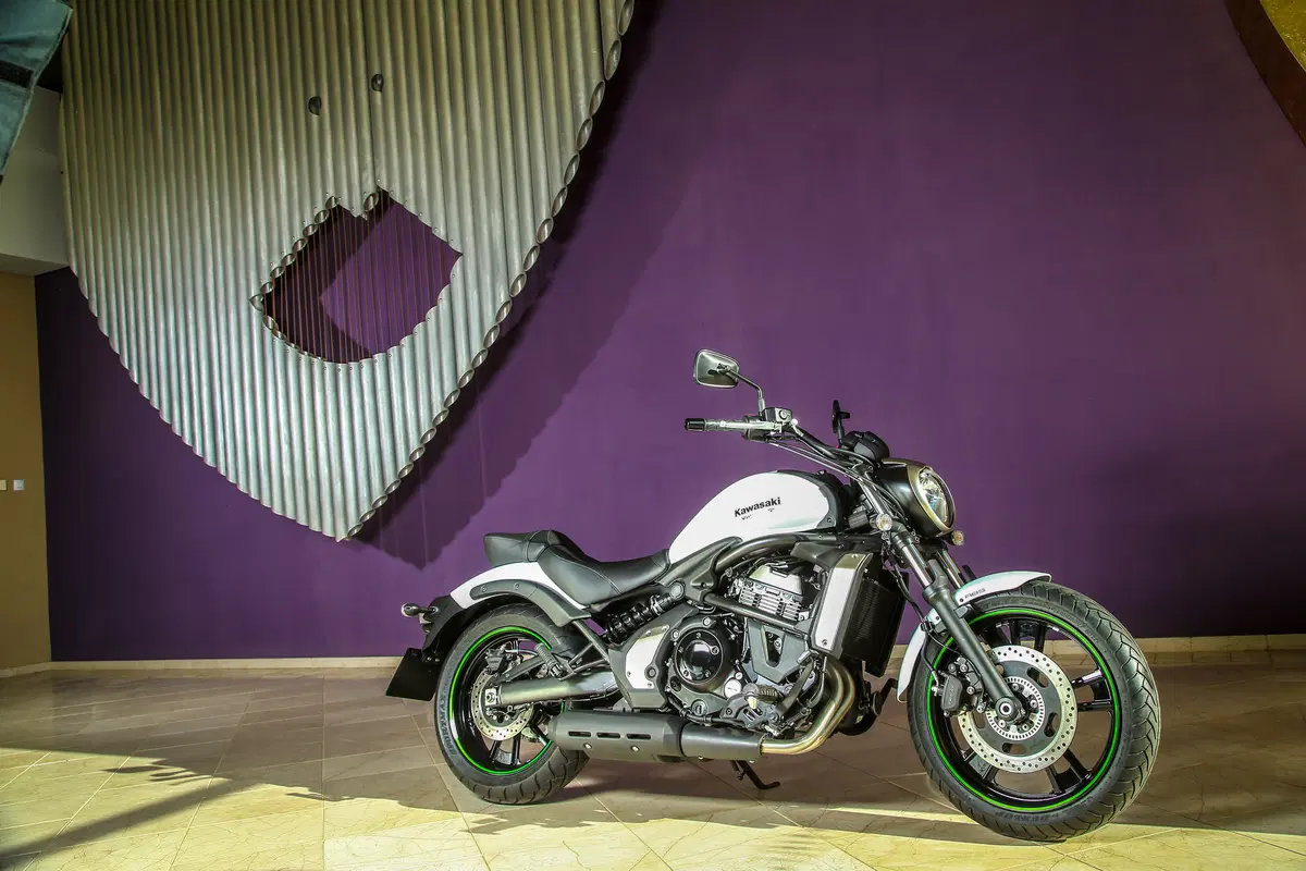 Kawasaki Vulcan S (14)