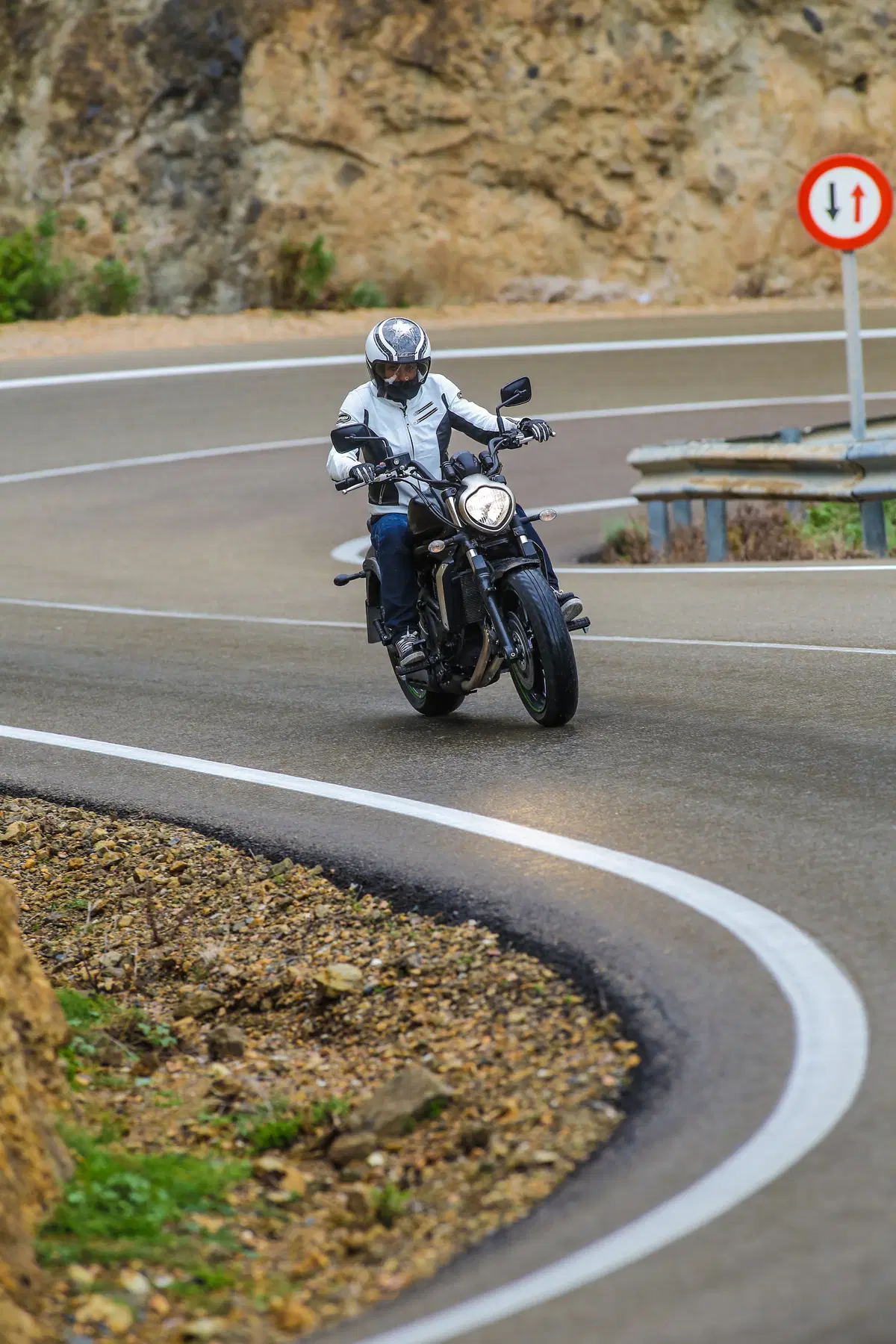 Kawasaki Vulcan S (8)