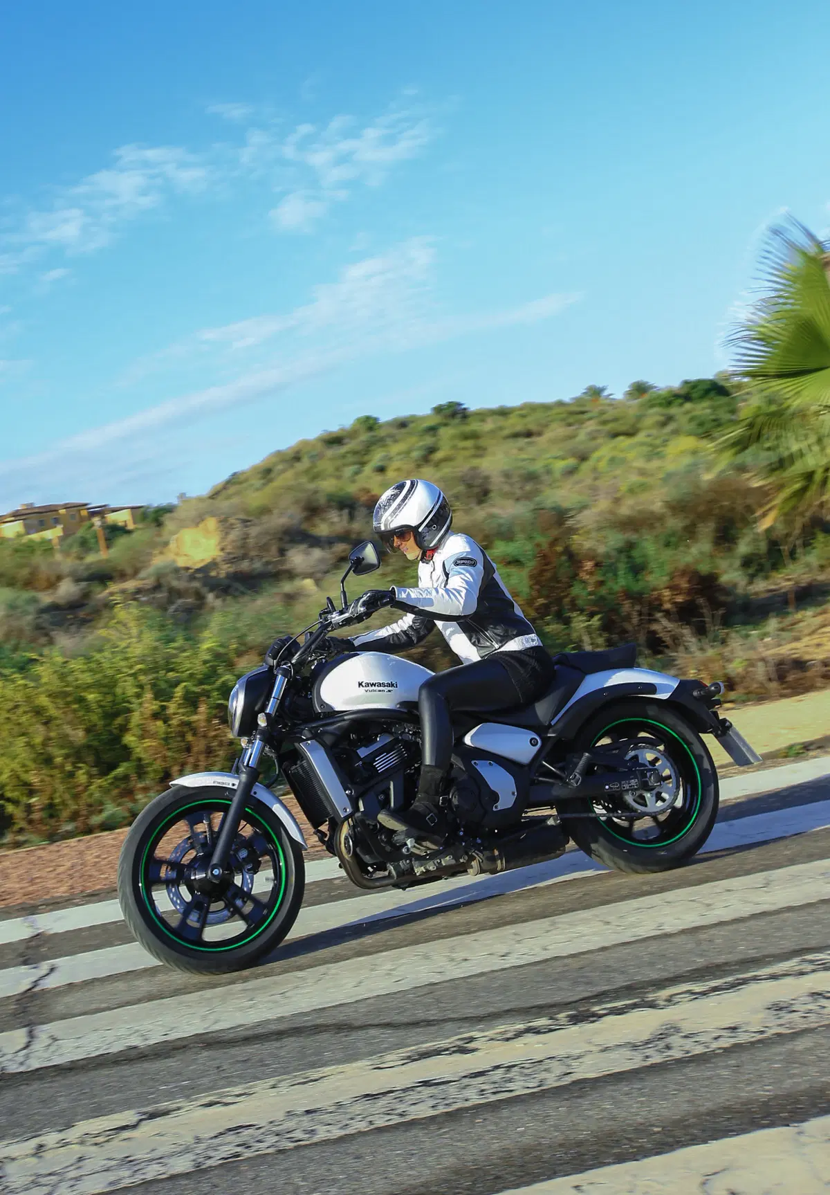 Kawasaki Vulcan S (3)