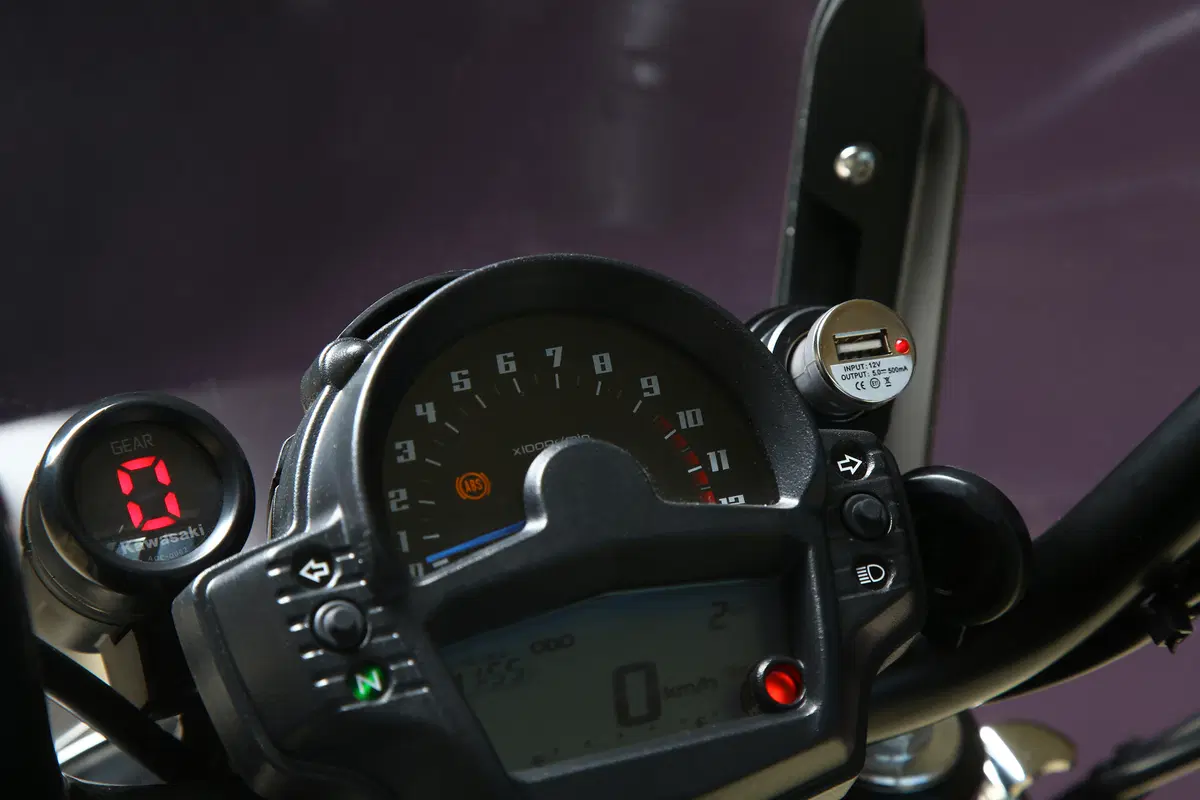 Kawasaki Vulcan S (19)