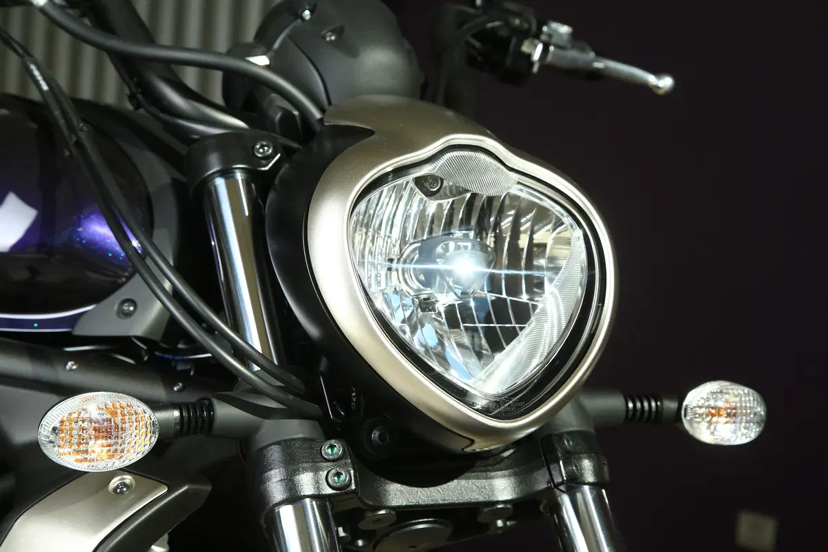 Kawasaki Vulcan S (21)