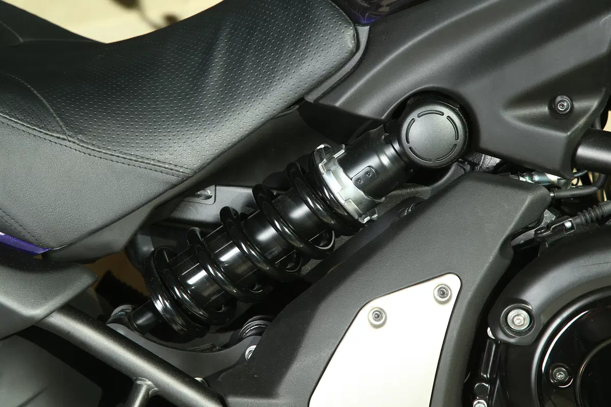 Kawasaki Vulcan S (22)