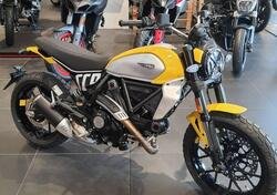 Ducati Scrambler 800 Icon (2023 - 24) nuova