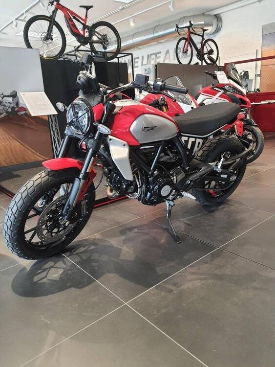 Ducati Scrambler 800 Icon (2023 - 24) (5)