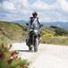 Suzuki V-STROM DAY 2023: alla scoperta dell'Umbria in sella alla 1050 DE [GALLERY]