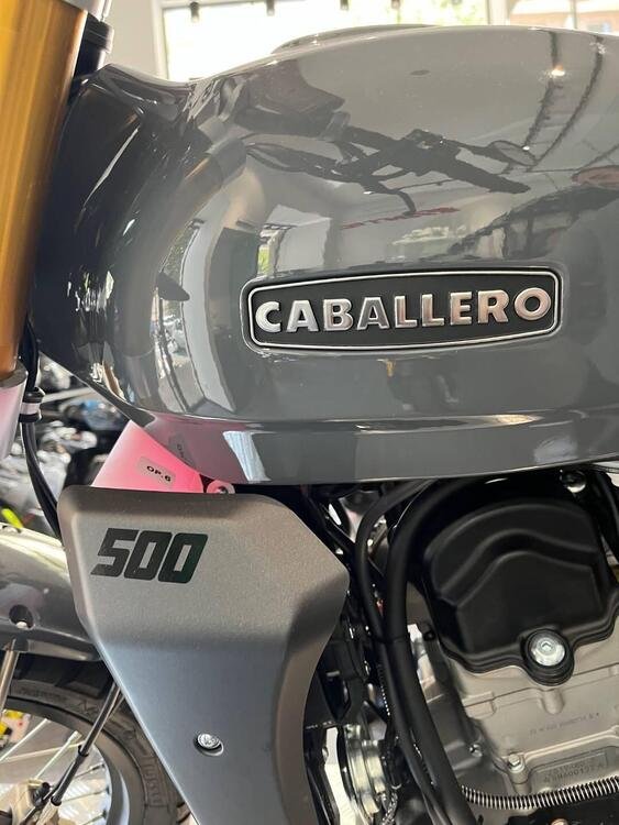 Fantic Motor Caballero 500 Scrambler Deluxe (2021 - 23) (4)