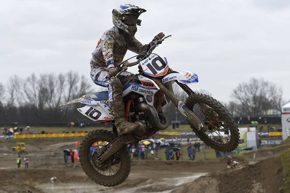 MX. Desalle re dello Starcross (2)