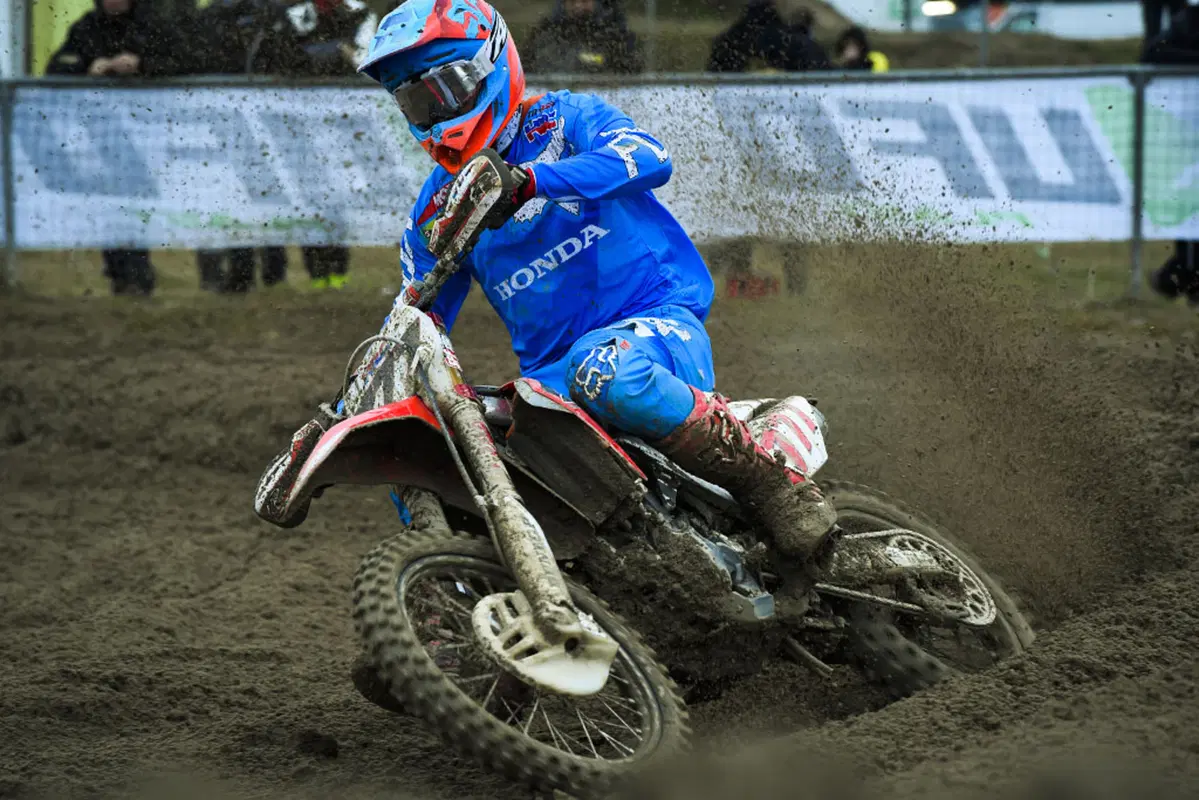 MX. Desalle re dello Starcross (5)