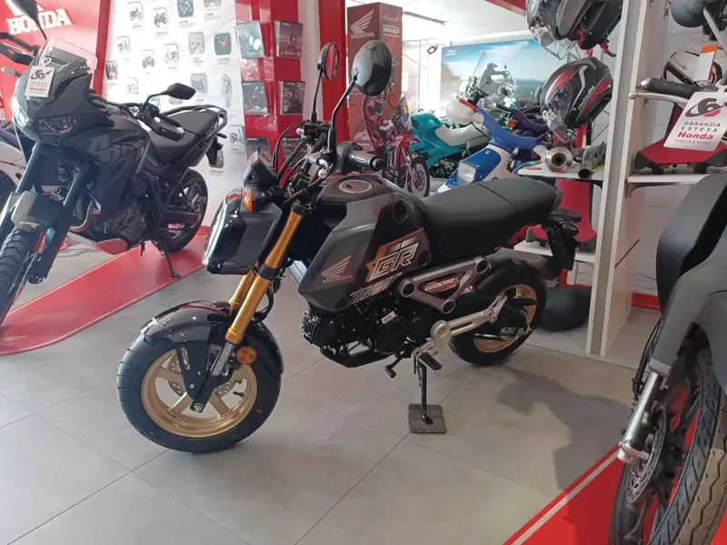 Honda MSX 125 Grom (2021 - 26) (5)