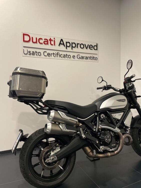 Ducati Scrambler 1100 Dark Pro (2020 - 24) (3)
