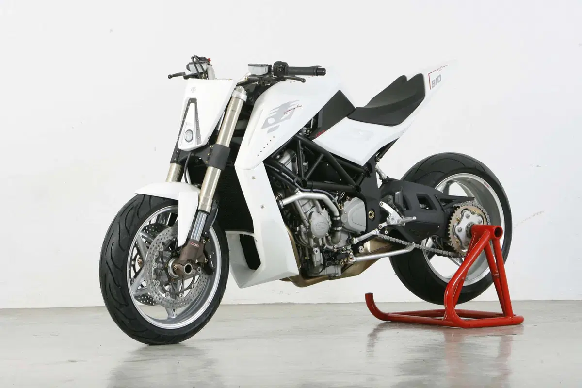 Feline One, clienti con 250.000 euro cercansi (8)