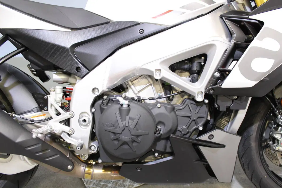 Aprilia Tuono V4 (2021 - 24) (11)