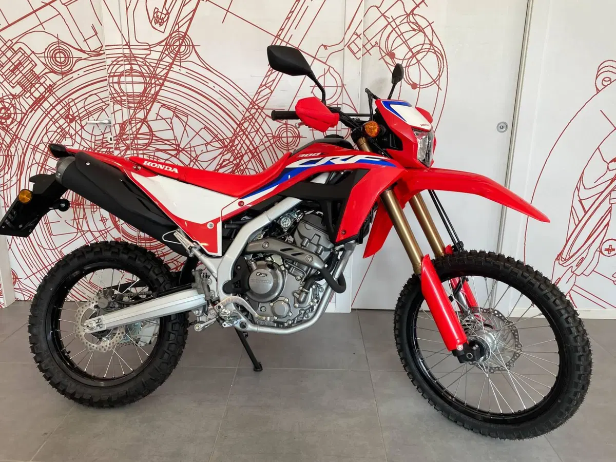 Honda CRF 300L (2021 - 24)