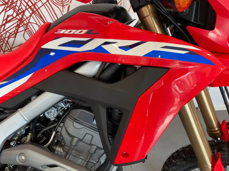 Honda CRF 300L (2021 - 24) (3)