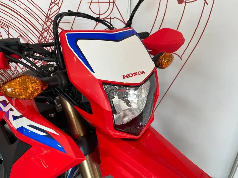 Honda CRF 300L (2021 - 24) (4)