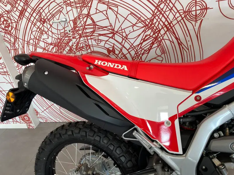 Honda CRF 300L (2021 - 24) (7)