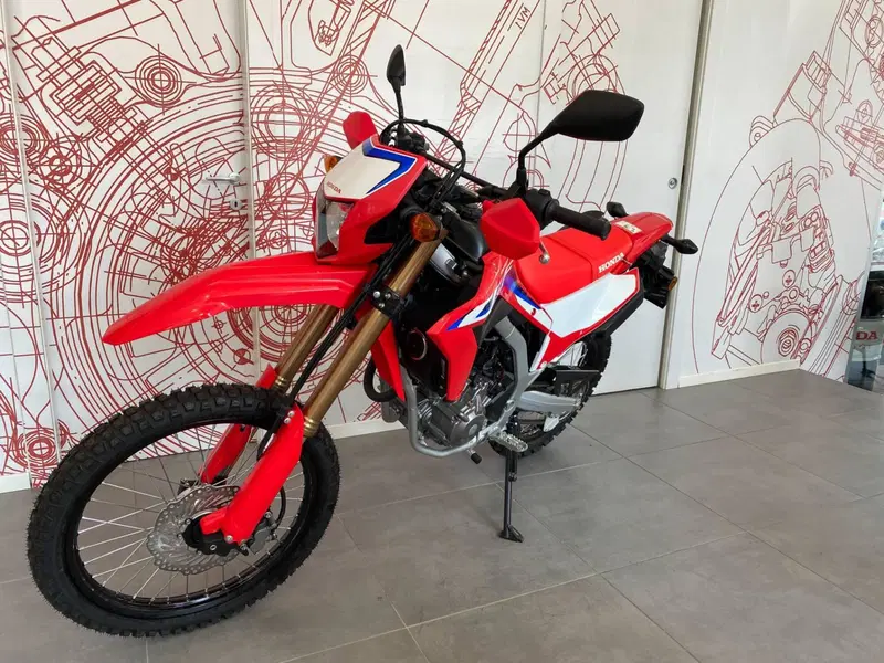 Honda CRF 300L (2021 - 24) (12)