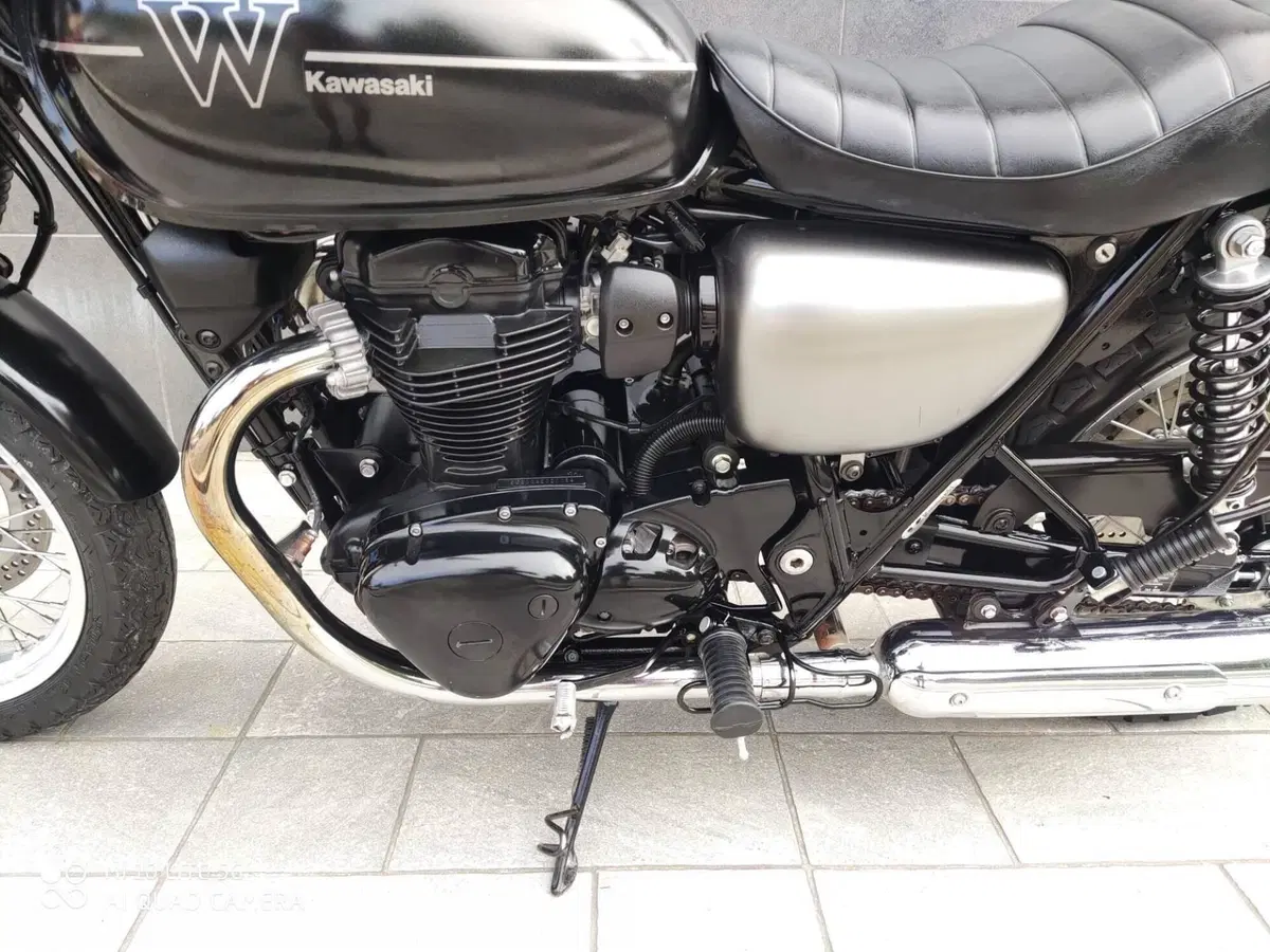 Kawasaki W 800 Street (2019 - 20) (3)