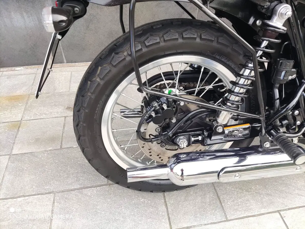 Kawasaki W 800 Street (2019 - 20) (6)