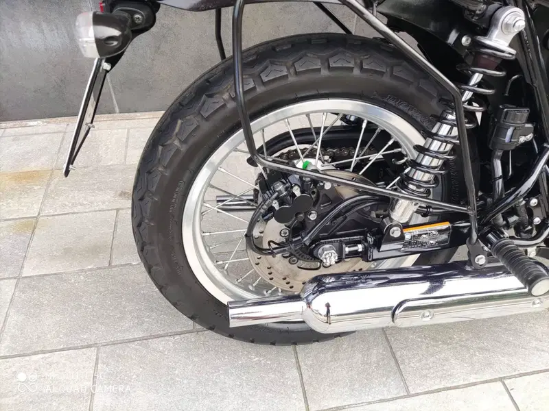 Kawasaki W 800 Street (2019 - 20) (6)