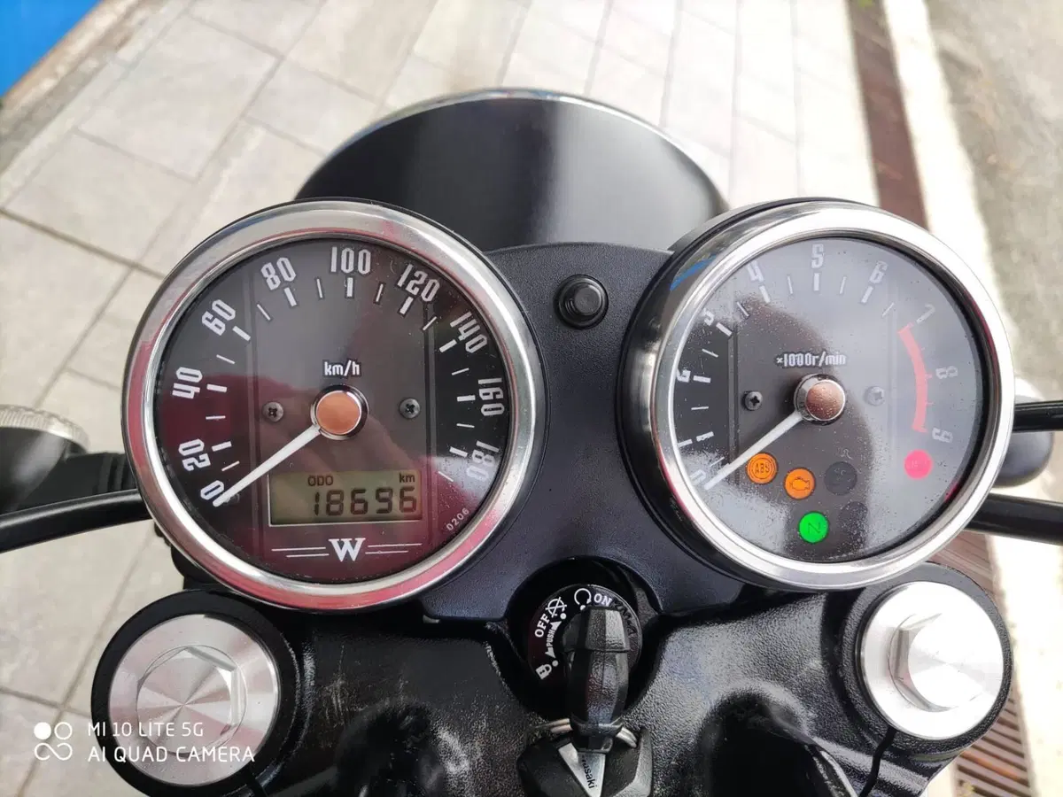 Kawasaki W 800 Street (2019 - 20) (9)