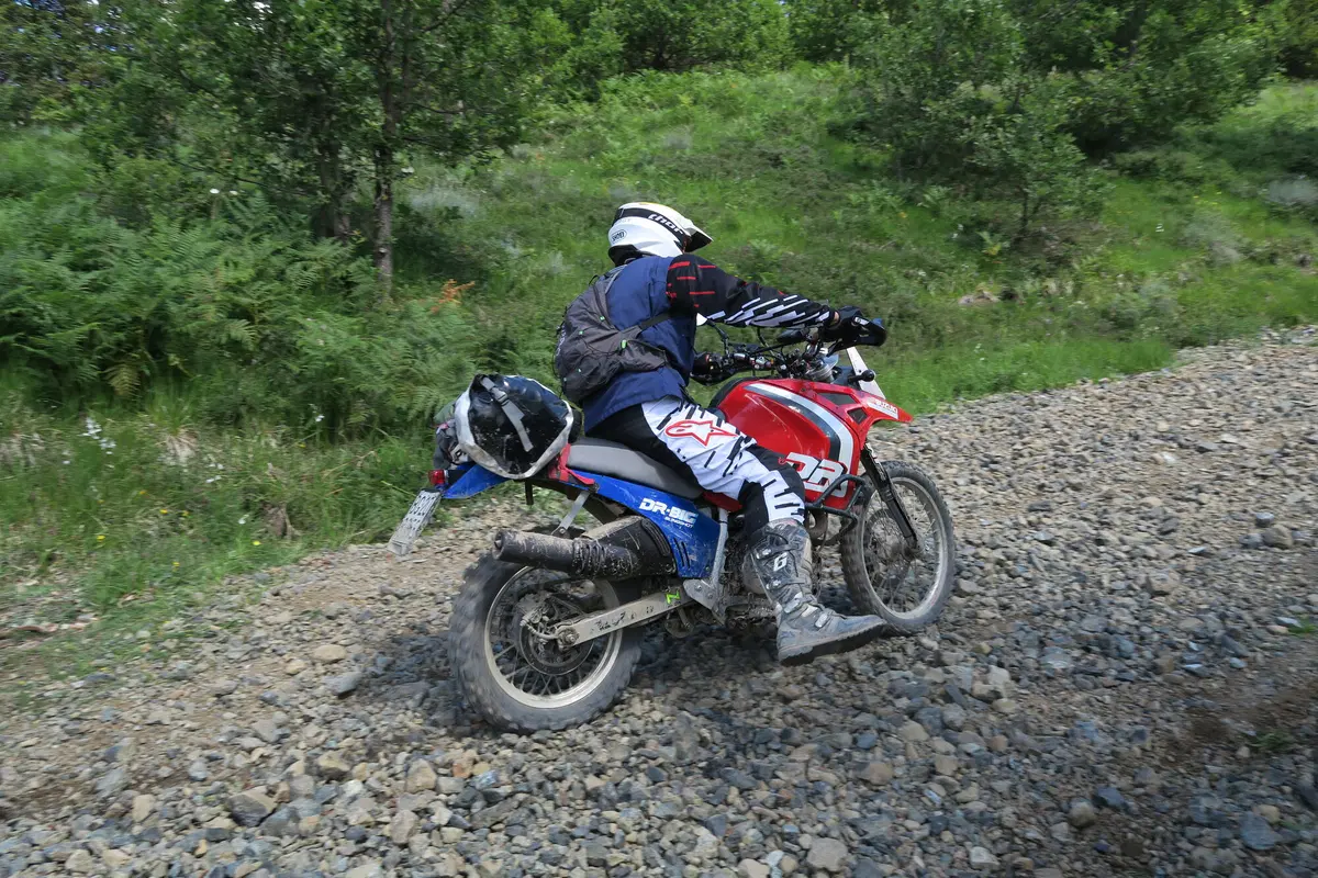 Cow Adventure 2016: le foto più belle (5)