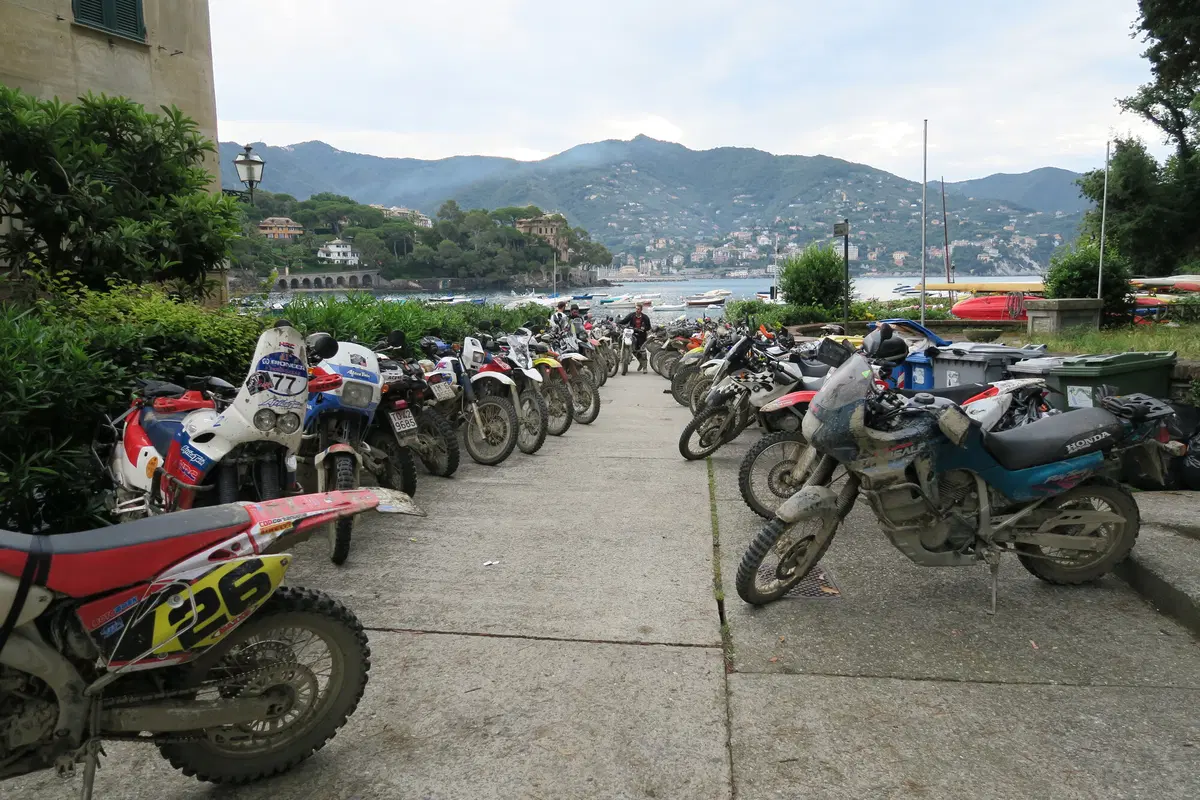 Cow Adventure 2016: le foto più belle (15)