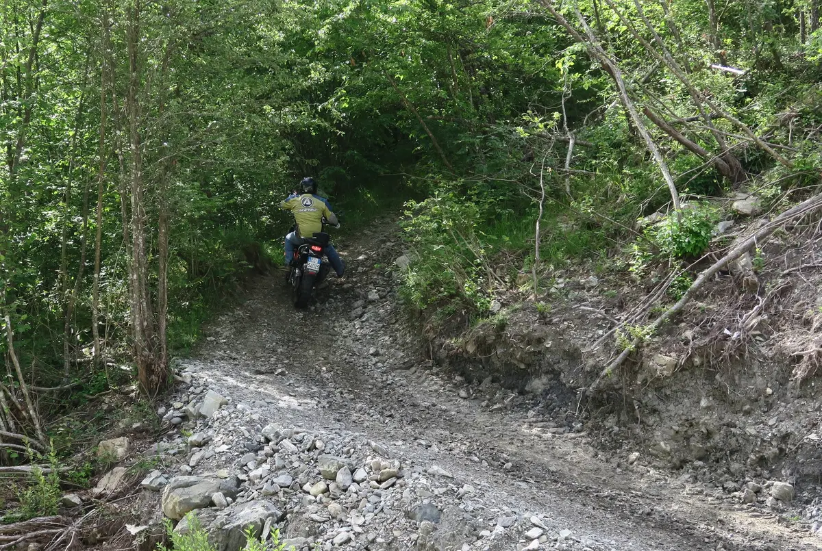 Cow Adventure 2016: le foto più belle (16)