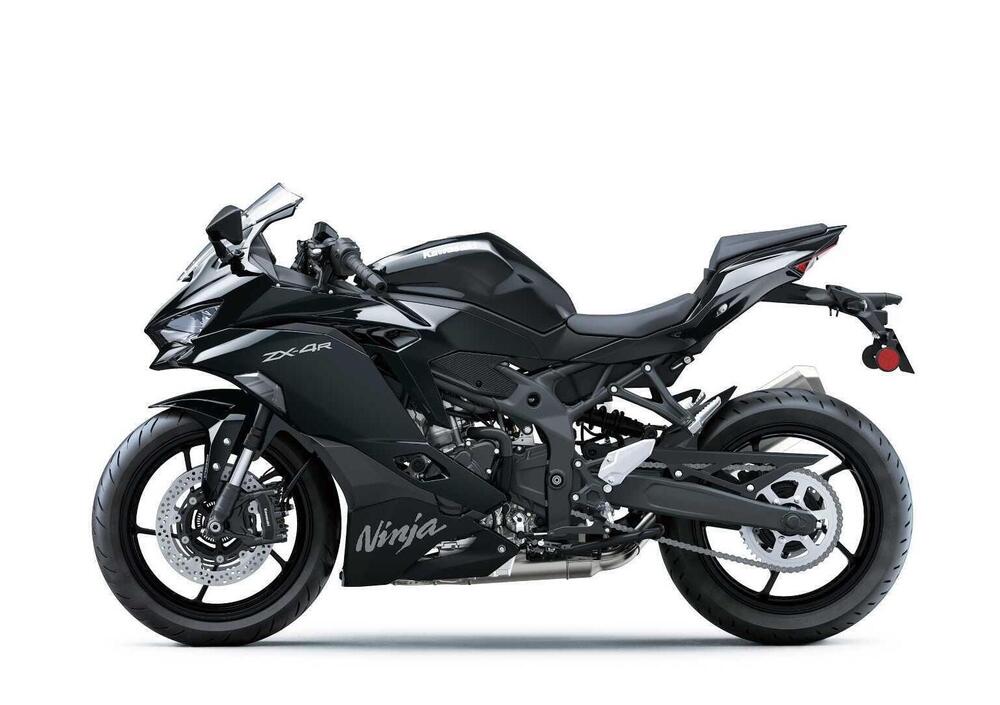 Kawasaki Ninja ZX-4R (2024 - 25) (3)