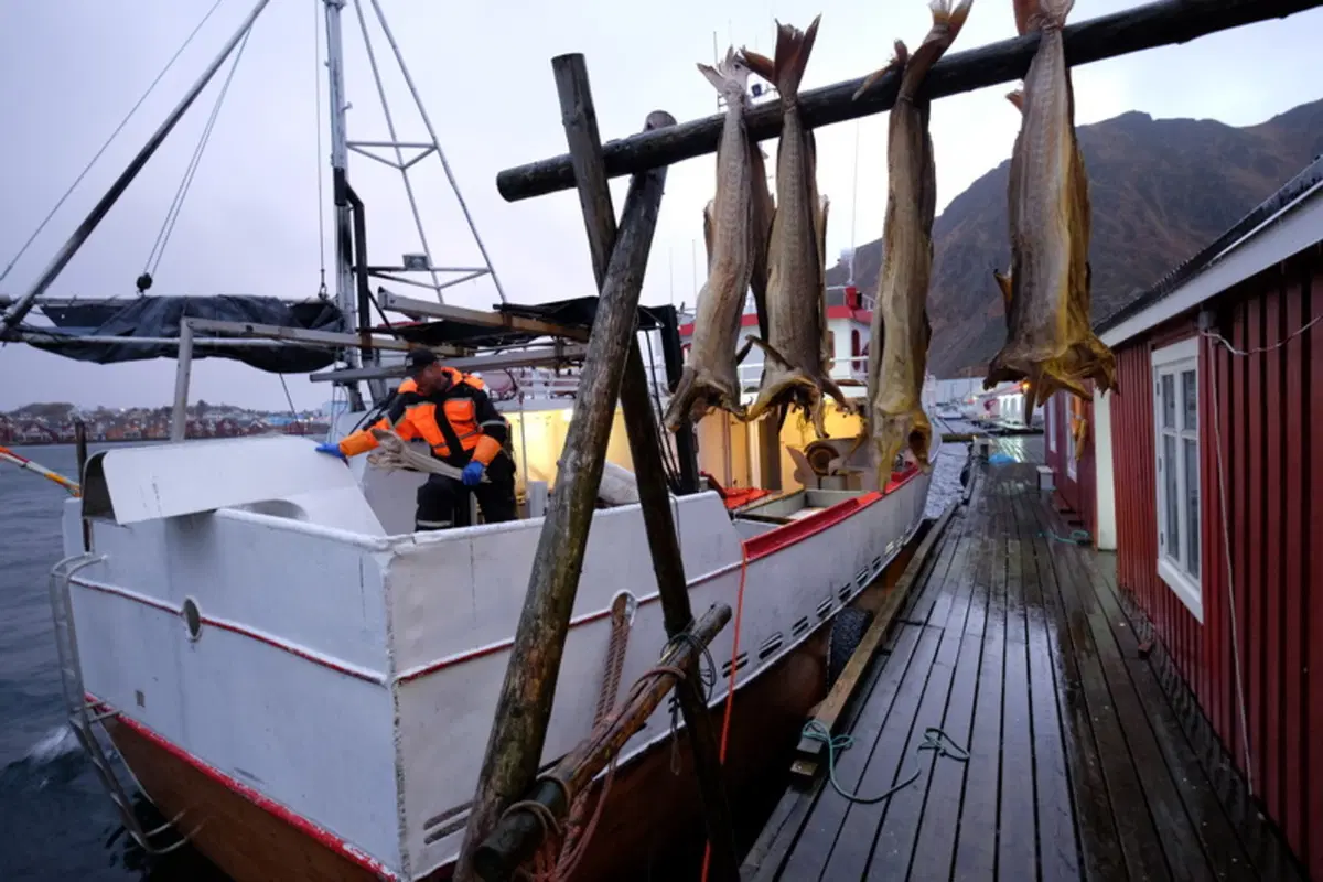 Planet Explorer 6, Norway: Day 3 (2)