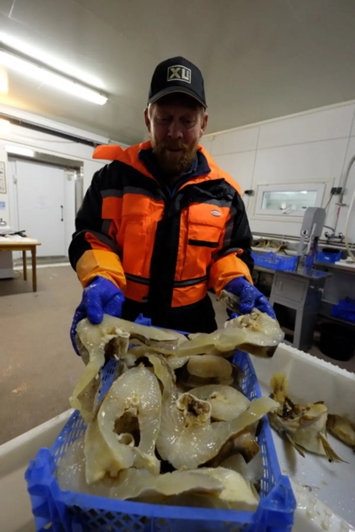 Planet Explorer 6, Norway: Day 3 (5)